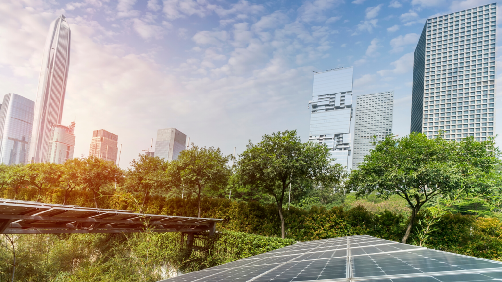 Sustainable workplace design for the future